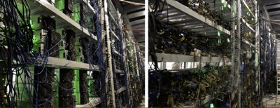 A vibrant mining farm showcasing various cryptocurrency mining setups